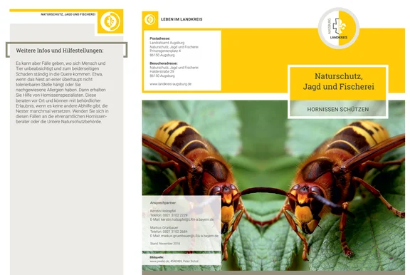 Flyer Hornissen 1.png