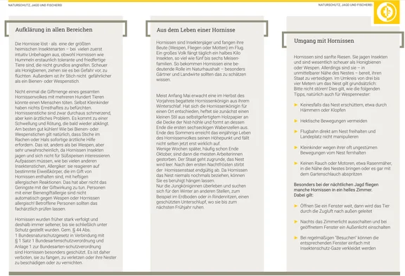 Flyer Hornissen 2.png