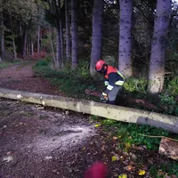 Bild 2 05.11.2023.jpg
